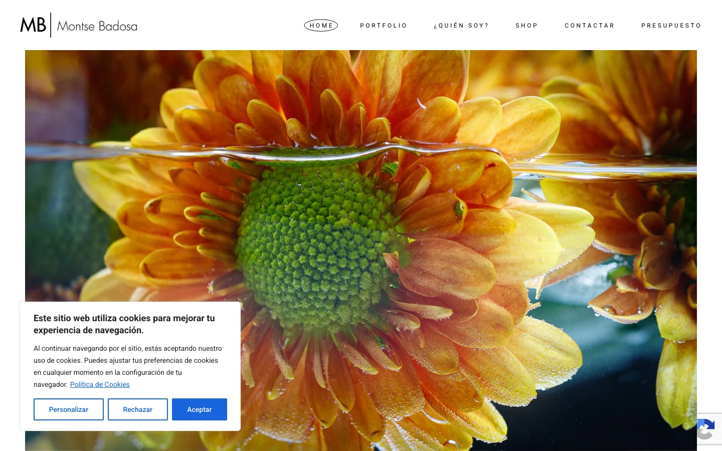 Site Montse Badosa, photographe d'art