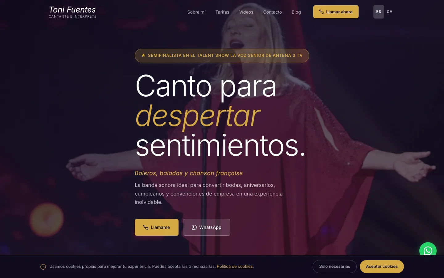 Site Toni Fuentes, chanteur